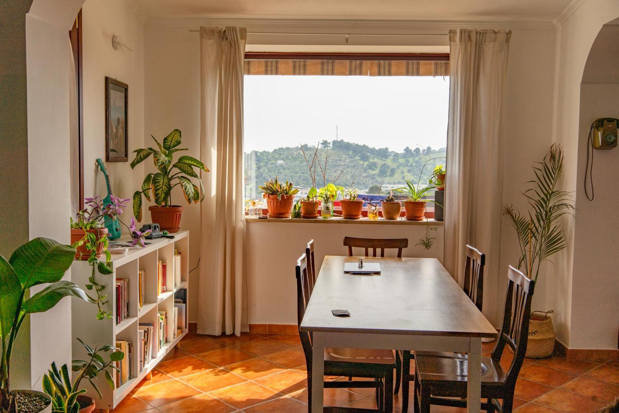 Coliving Together Gargano فيستَ المظهر الخارجي الصورة